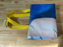 Load image into Gallery viewer, Octopus Vinyl Bag
